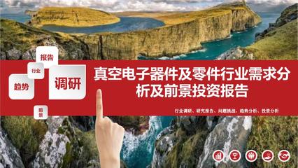 2021年真空电子器件及零件行业需求分析及前景投资报告.pptx